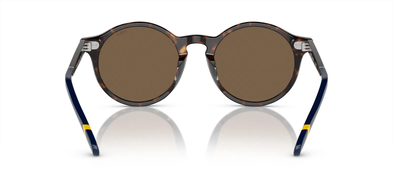 Polo 4204U Sunglasses - view 15
